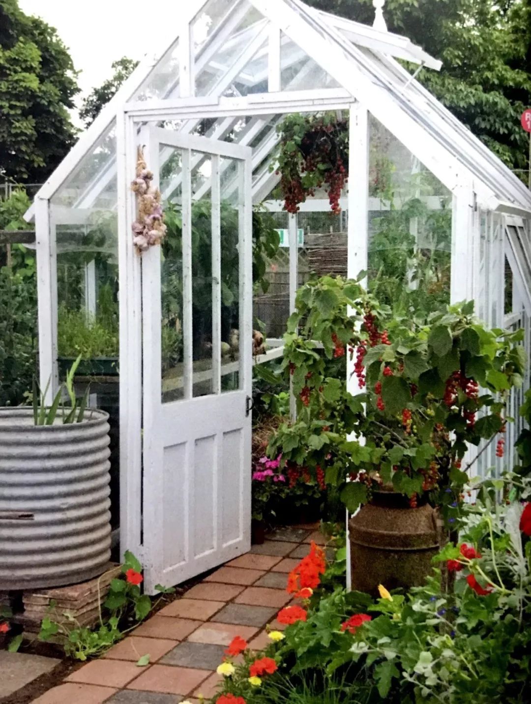 如果阳台上有个小温室我可以变出你想要的花果蔬