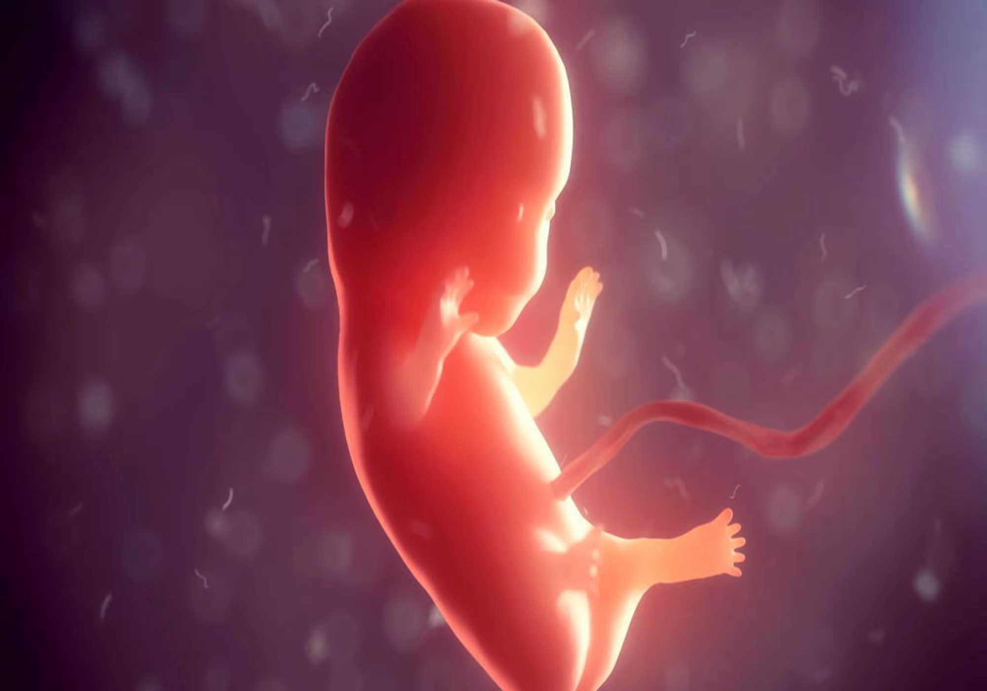 原创孕中期意外引产空月子妈妈问宝宝哪去了真相让人心痛