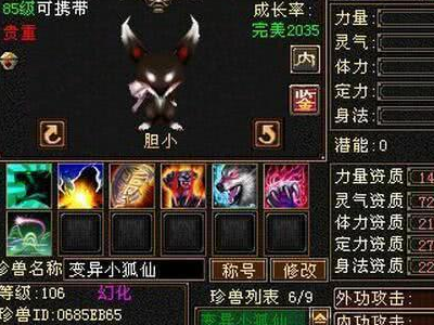 天龙八部全服第一珍兽