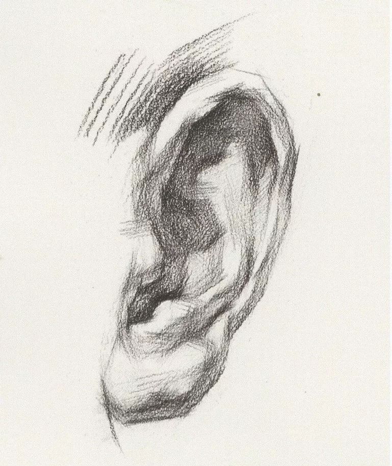 超强干货丨素描石膏像之耳朵的刻画