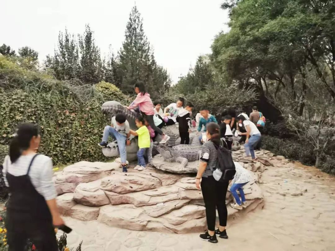 門口的鱷魚確實是個聚會的好地方太原動物園熟人到是碰見不少動物沒有