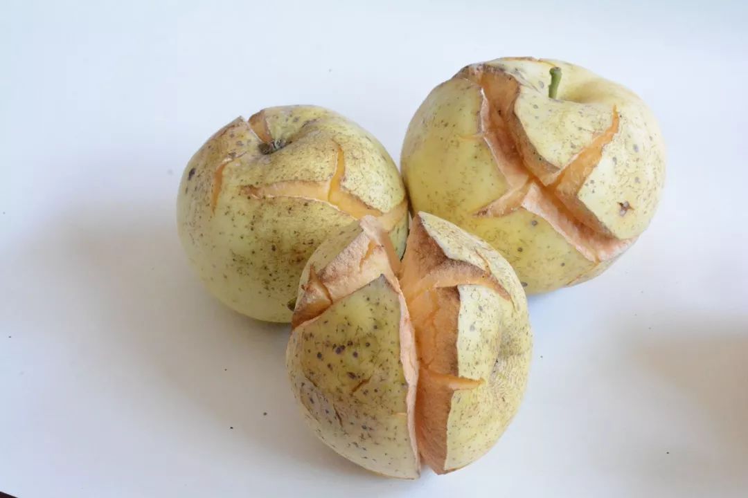 苹果裂口原因分析