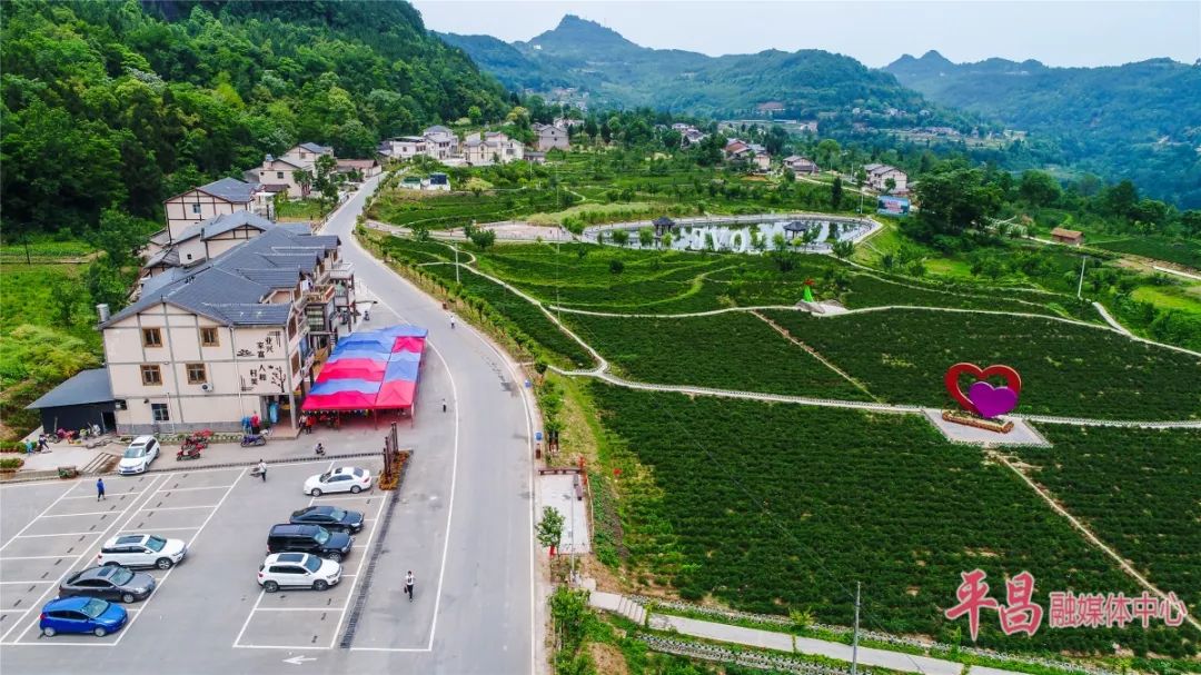 平昌县青凤镇龙井村芍药花海园区道路