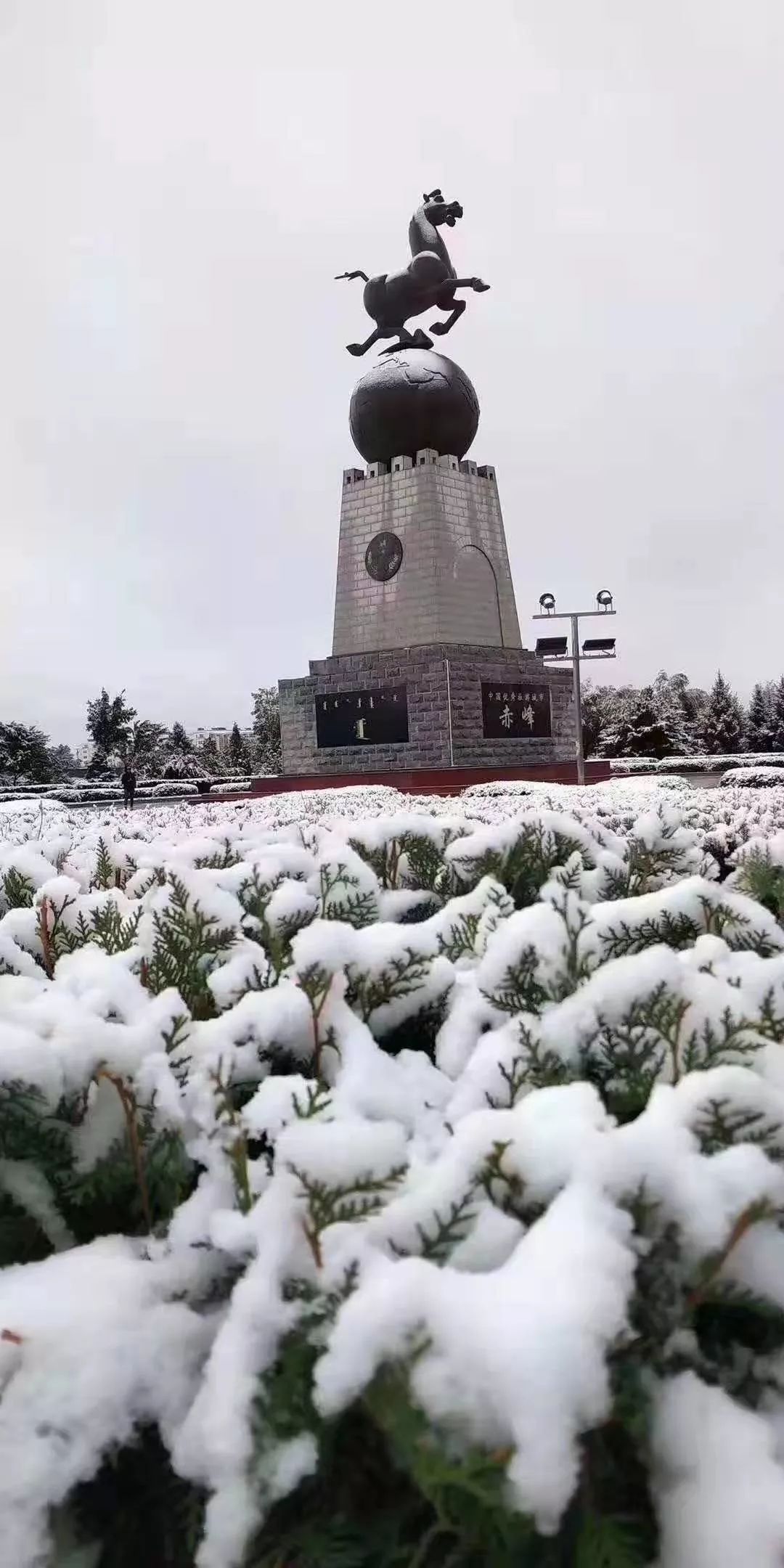 赤峰下雪了!这张照片火了!未来天气…_雪景