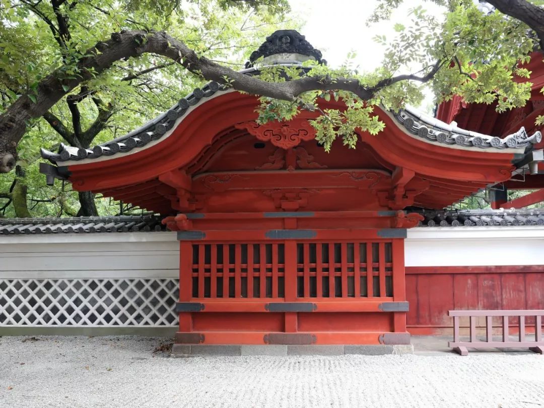 百科全书",开设了令人眼花缭乱的选修课程,学生可以选择任何一门课程