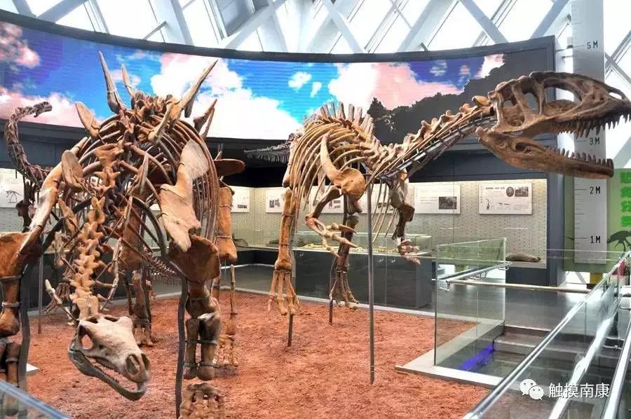 赣州市南康区南水新区南山村木梓排组和谐公园北侧的 赣州恐龙博物馆
