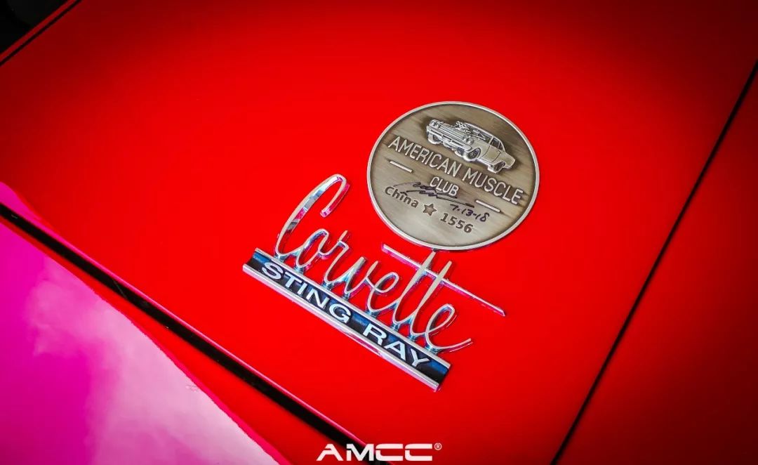 关注amcc的官方公众号:amcc999