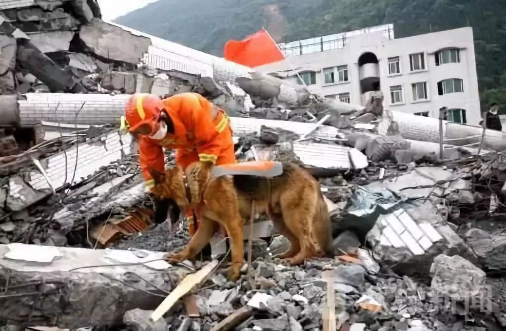 汶川地震中救出15人的戰友走了網友紛紛哀悼