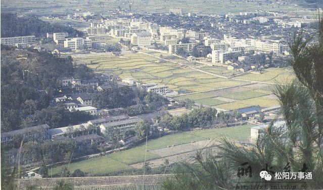 松阳老照片哪一张勾起了你的回忆