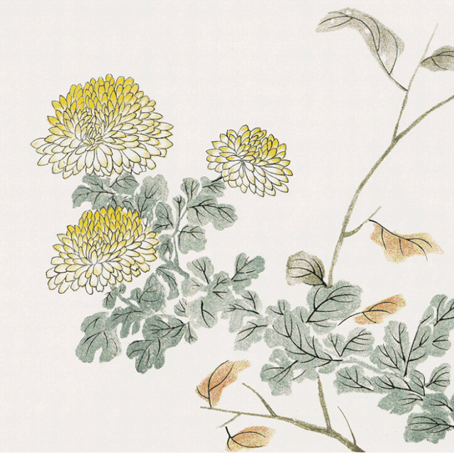 640_639gif 动态图 动图