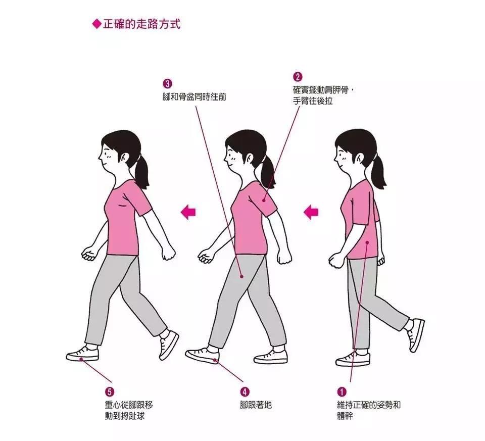 走路正确发力部位图片