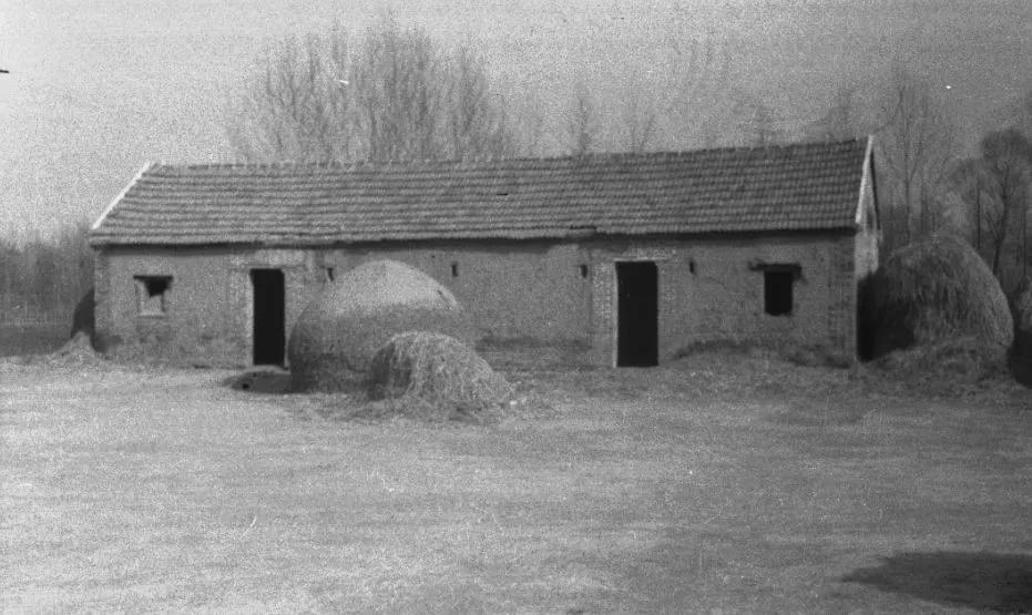 看哭老照片记录的沭阳70年变迁满满都是回忆