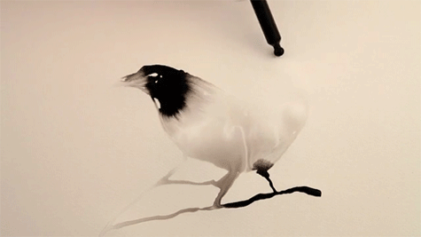 475_267gif 动态图 动图