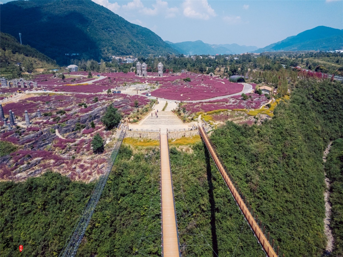 3天2夜玩遍重庆边陲小城酉阳,从诗词桃源到粉色花海,总有一样让你爱不