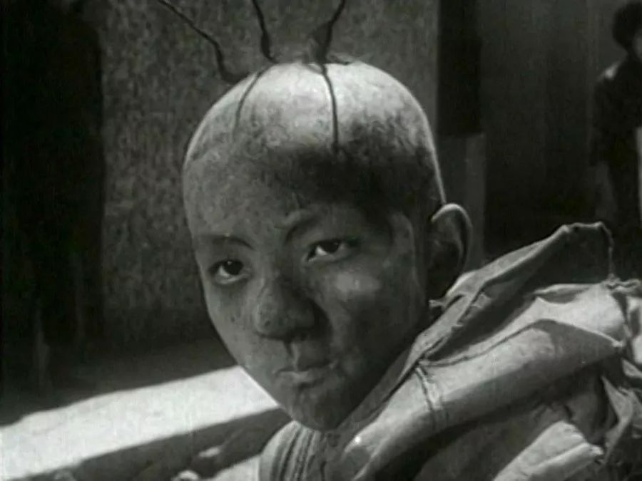 原创豆瓣8.2分的《三毛流浪记》,1949年的献礼之作,艰辛中饱含泪水
