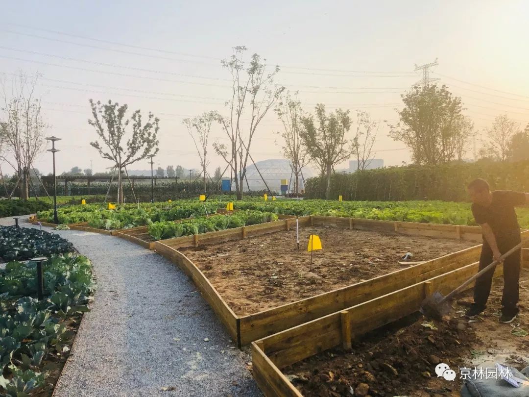 良乡蔬艺园:十一最涨知识的游园活动火爆进行中