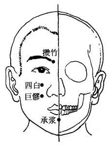 承浆的准确位置图 来自搜狐网