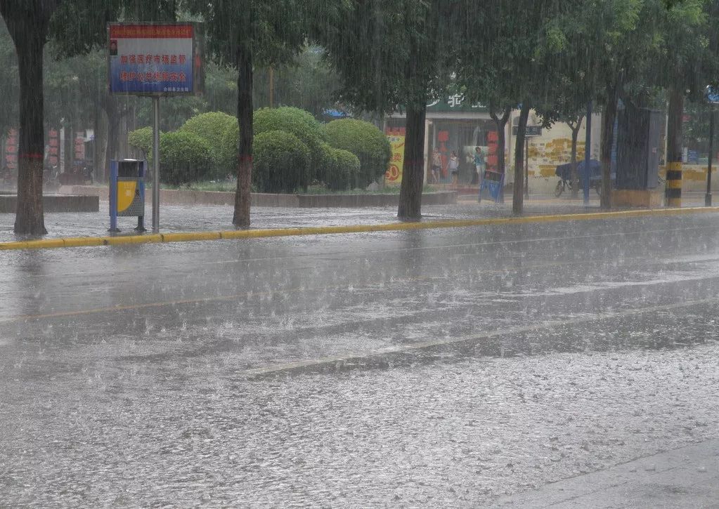 中雨图片大全图片