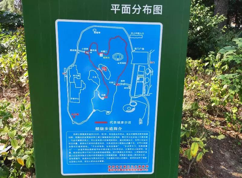 走起運動健康主題公園露臉西湖公園