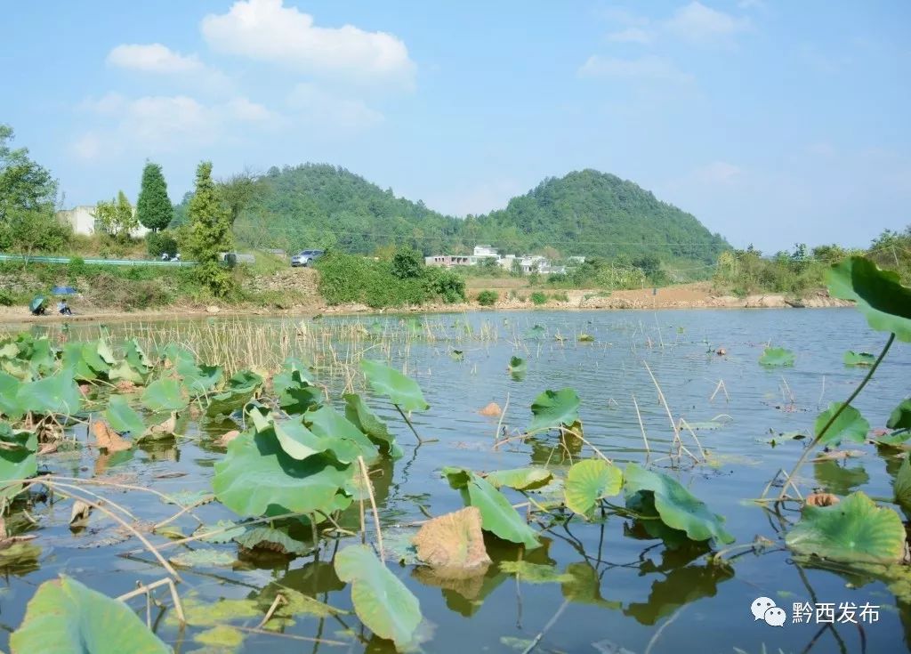 秋到黔西大海子湖畔景如画