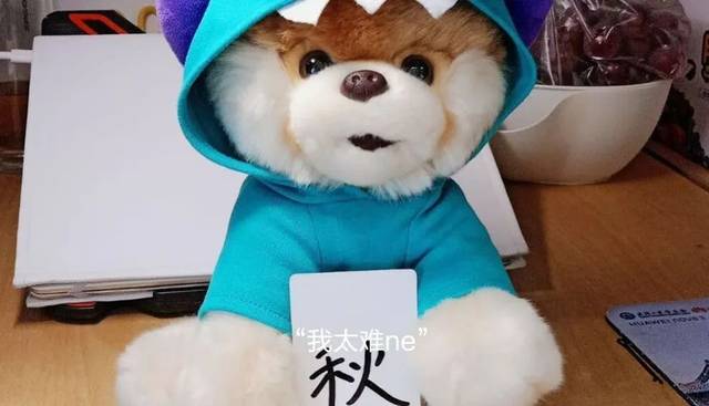 寝室人手一个吉祥物以及口头禅,充分展现当代女大学生现状no.