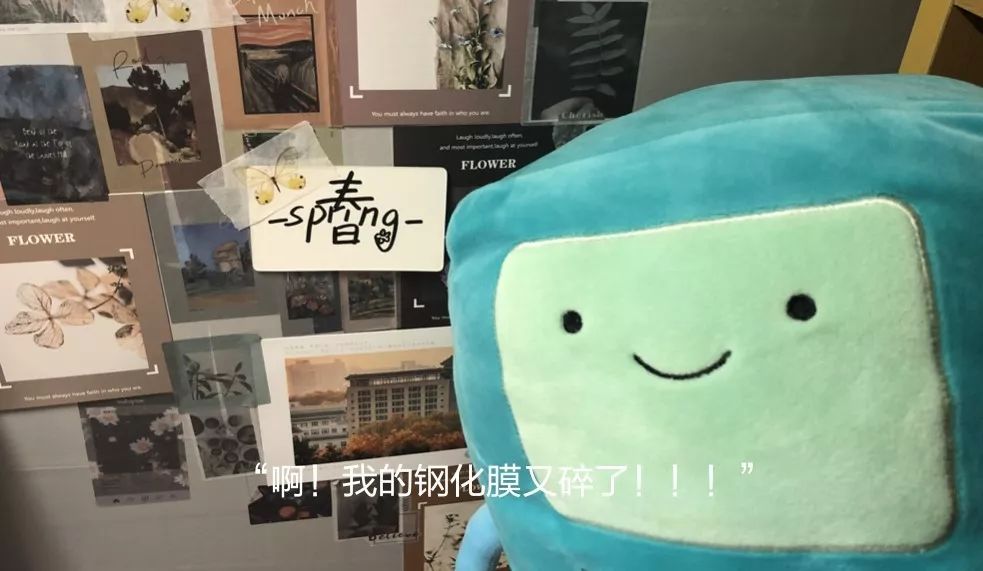 寝室人手一个吉祥物以及口头禅,充分展现当代女大学生现状no.