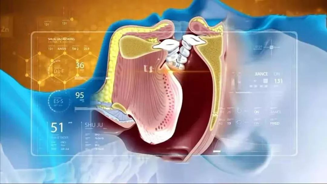 打呼噜就是这个原理,鼻,咽,喉所在的上气道,如果变得狭窄,呼吸气流