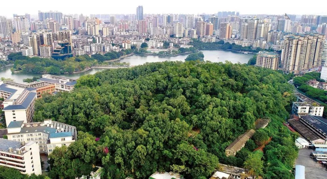 就是现在的飞鹅岭,惠州因此亦称鹅城