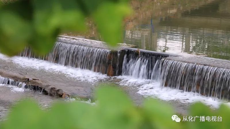 我与新中国同龄听老村支书讲述从化乡村变化