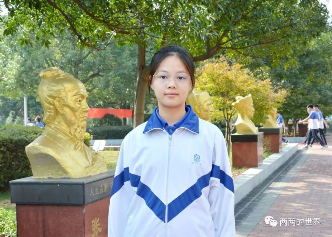 宁乡一中不忘初心牢记使命主题教育之典型引领永恒的风景访宁乡市师德