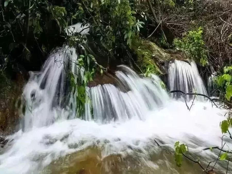 原生態像顆顆耀眼的明珠東橋邊山翡翠谷,白竺大豐桐花谷,廣寒寨黃金谷