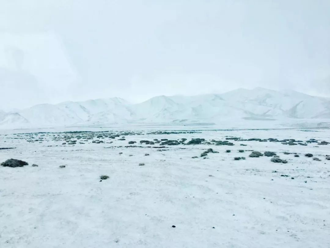 20张乐山人手机里最舍不得删掉的照片看到图四我就泪奔了第几张你哭了