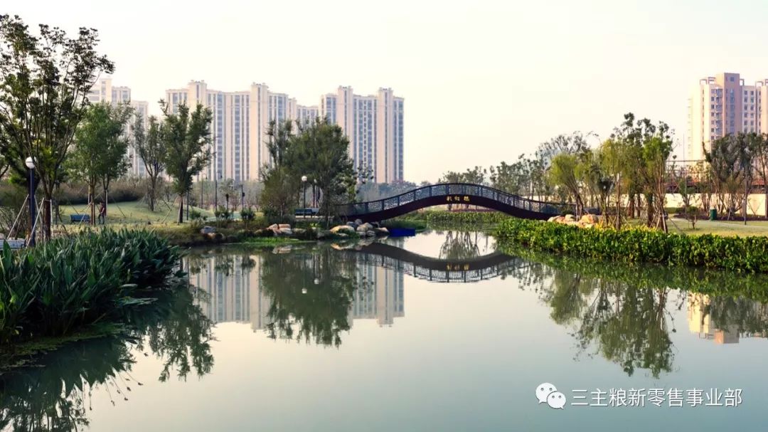 简直是世外桃源!常熟文化片区再添新景——琴川城市公园(上集)