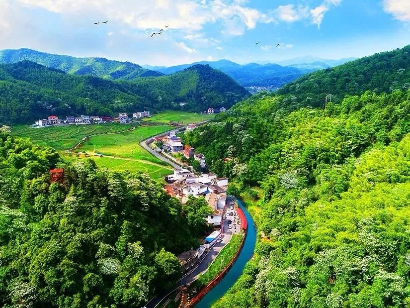 原生態像顆顆耀眼的明珠東橋邊山翡翠谷,白竺大豐桐花谷,廣寒寨黃金谷