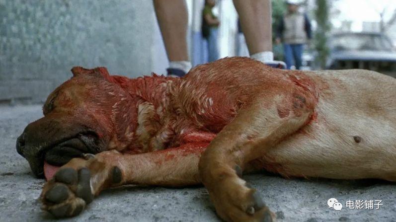 原创什么坑爹译名差点错过这部好片