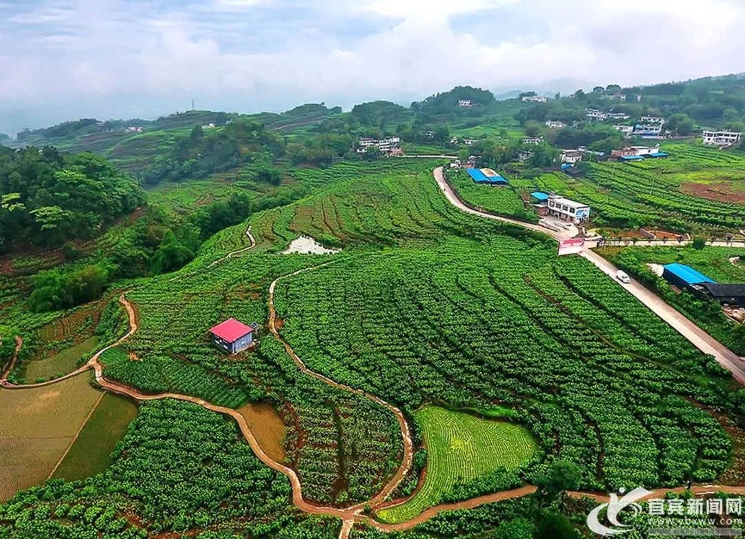 通过这些数据看高县日新月异的70年