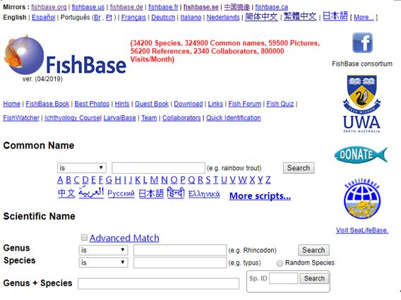 海洋科普(874)| 世界鱼类数据库(FishBase),你值得拥有!_研究