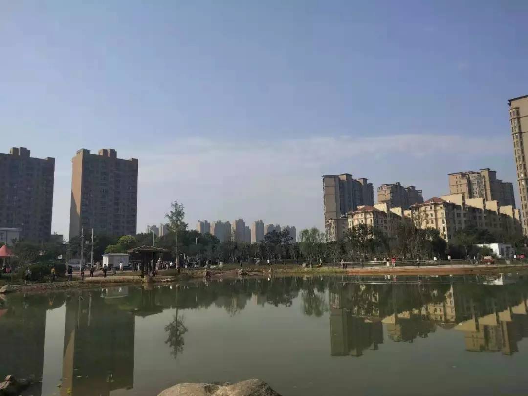 好消息新乡休闲又添好去处向阳公园盆景园开园