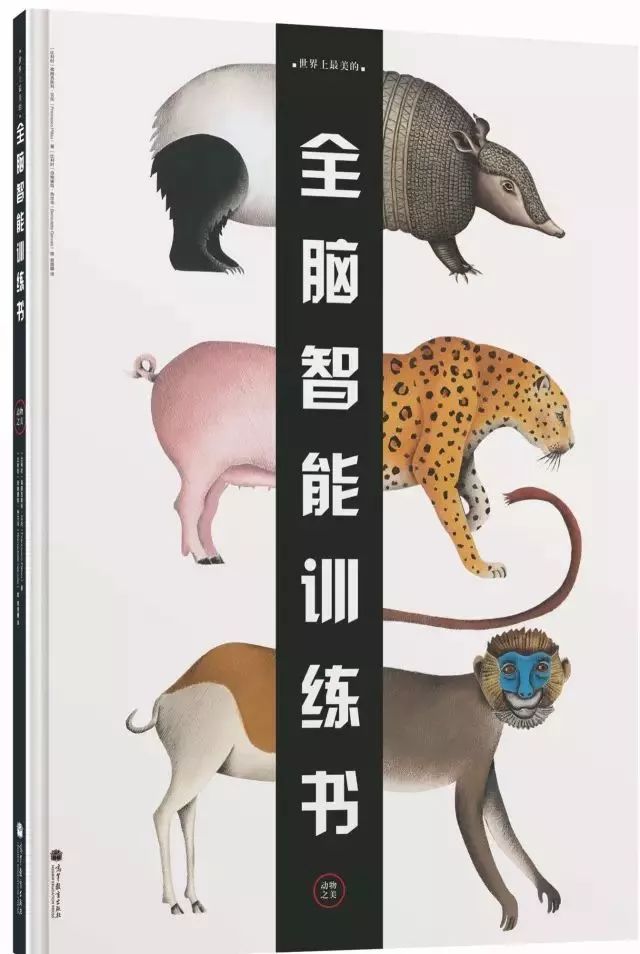 法国原版引进,亚马逊五星好评!