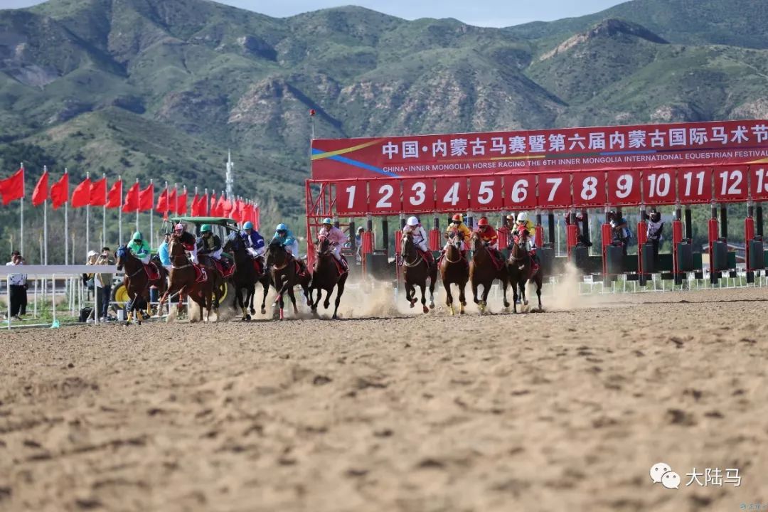 休闲项目风生水起"枫情马镇"中国马都"等都已成为休闲旅游目的地