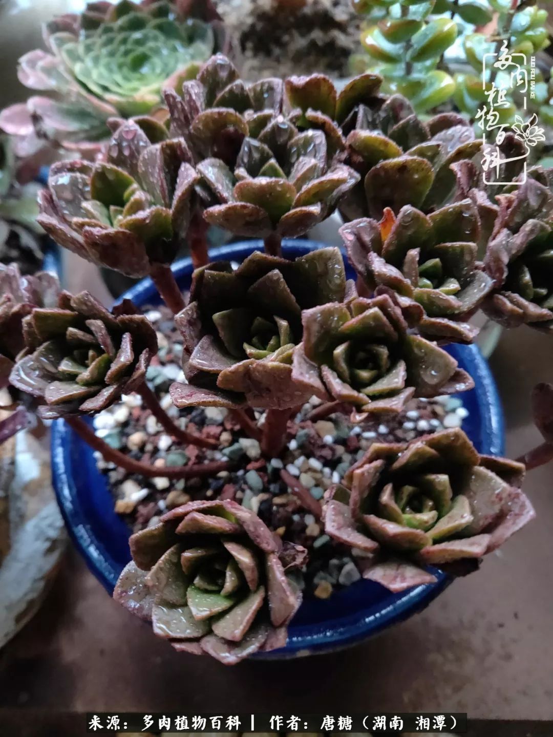 想要过得快乐不是去给生命画蛇添足而是删繁就简