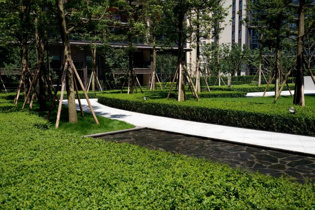 项目实景图无论何时,陪伴,关怀,拥有,都将是构成美好生活的必需元素