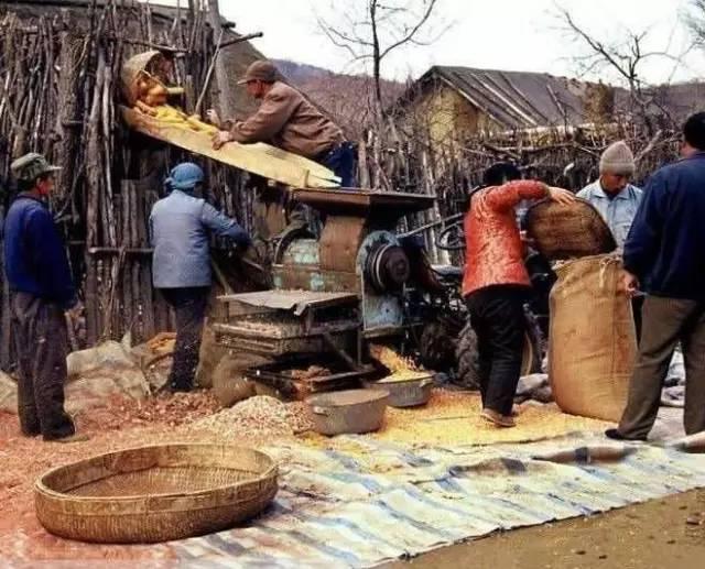 一组80年代的农村老照片瞬间刷爆朋友圈