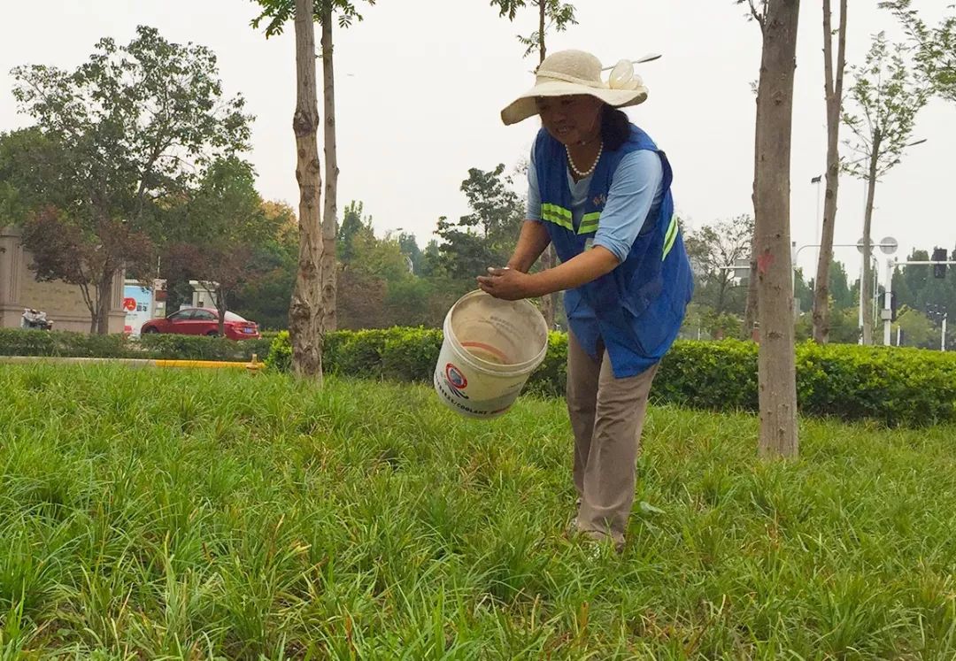 兴东园林全面开展2019年秋季施肥工作_降雨