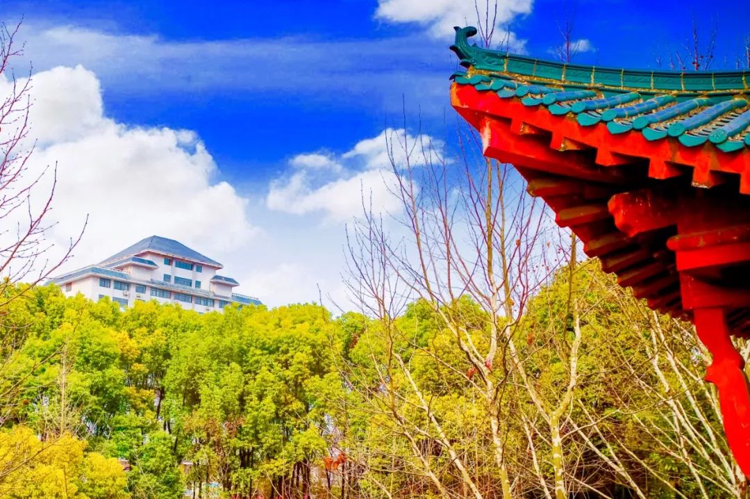 国庆特辑寻找武生院的中国红