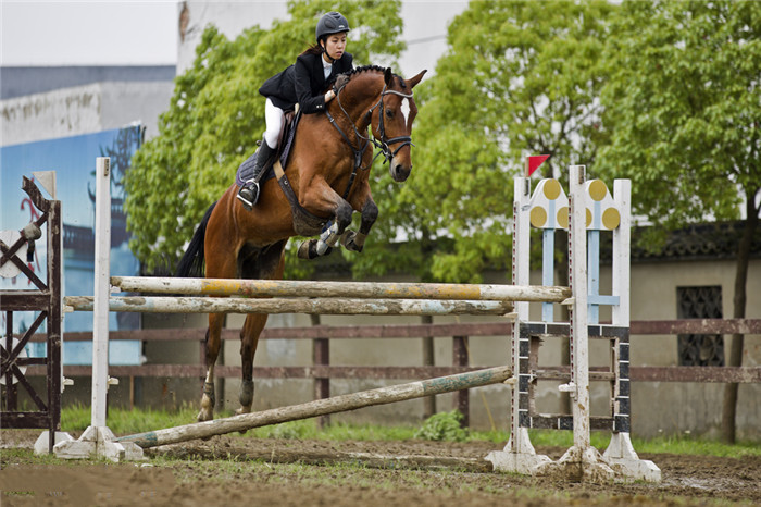 在北京周边已拥有四家马场,全国范围内有六家加盟马场,并于2015年底在