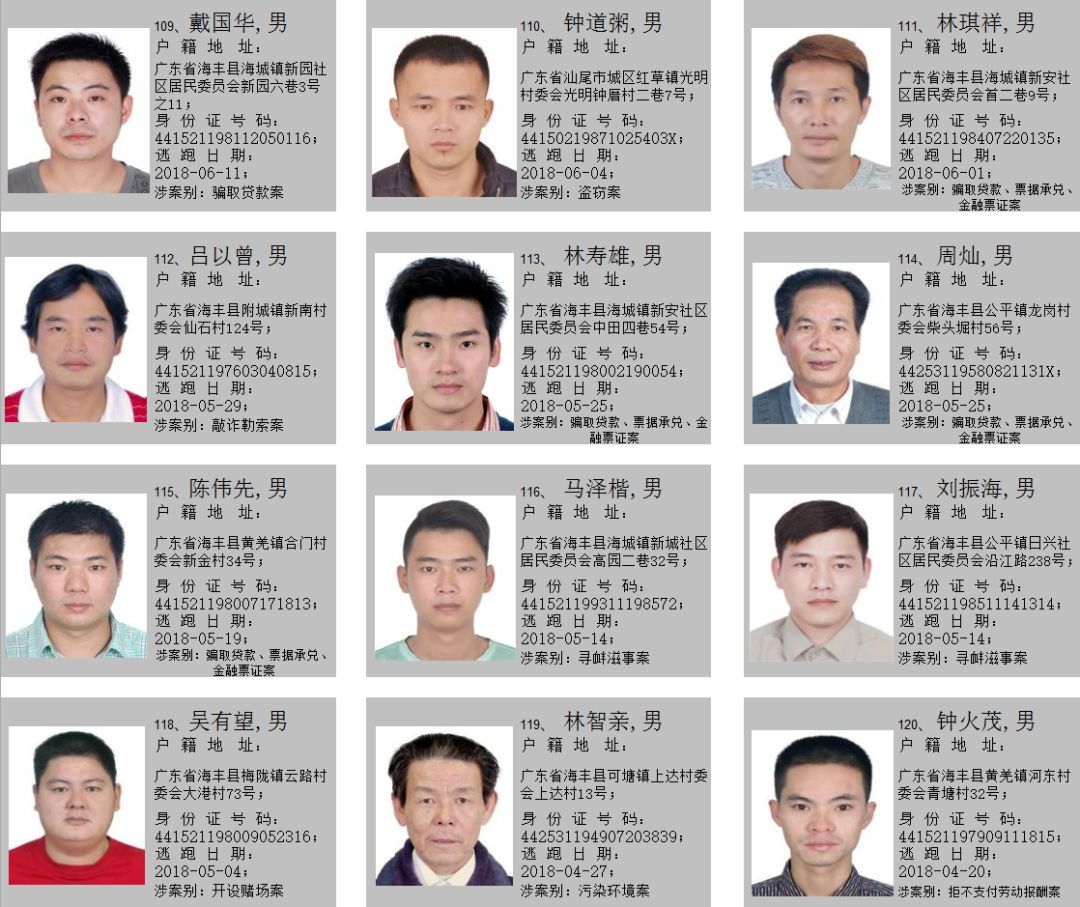 海丰公安关于敦促在逃人员投案自首的通告