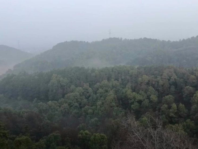 山东省立医院西院肛肠科组织员工登山，氛围怎么样？