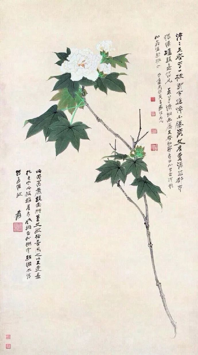 張大千花鳥畫高清100幅值得收藏