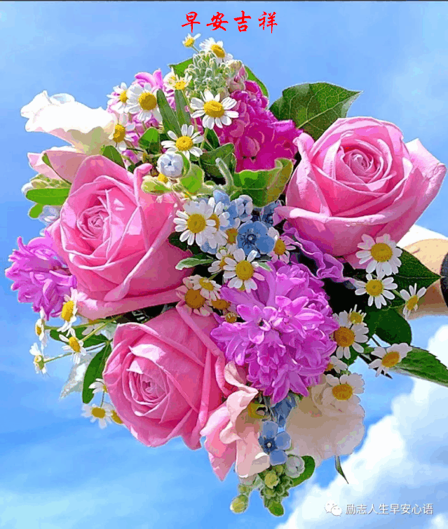 639_754gif 动态图 动图